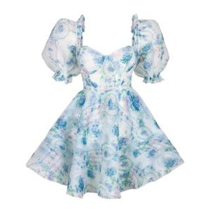 Selkie Parliament Dress in La Belle Etoile